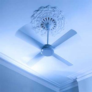 ceilingfan